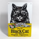 Black Cat