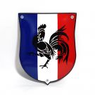 The coat of arms of France