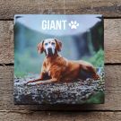 Photo of your pet on an enamel sign