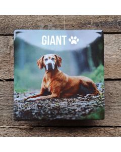 Photo of your pet on an enamel sign